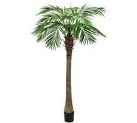Phoenix palmier luxor, plante artificielle, 210cm