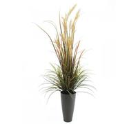EUROPALMS Roseau de septembre, artificiel, 175cm