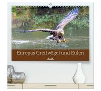 Europas Greifvögel und Eulen (hochwertiger Premium Wandkalender 2026 DIN A2 quer), Kunstdruck in Hochglanz: Ein Jahr voller eindrucksvoller ... - kraftvoll, elegant und geheimnisvoll