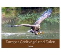 Europas Greifvögel und Eulen (Wandkalender 2026 DIN A4 quer), CALVENDO Monatskalender: Ein Jahr voller eindrucksvoller Flugakrobaten und lautloser Nachtschwärmer - kraftvoll, elegant und geheimnisvoll