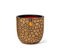 Europe - Pot boule Clay NL - 35x34 - Or