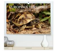 European Tortoises / UK-Version (High Quality Premium Wall Calendar 2026 DIN A2 landscape),CALVENDO 12 Month Wall Calendar: The pictures in that ... of southern Europe in their habitats