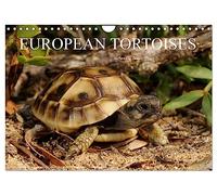 European Tortoises / UK-Version (Wall Calendar 2026 DIN A4 landscape), CALVENDO 12 Month Wall Calendar: The pictures in that calendar show tortoises of southern Europe in their habitats