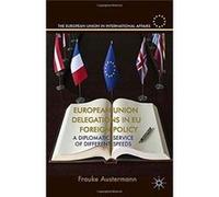 European Union Delegations In Eu Foreign Policy