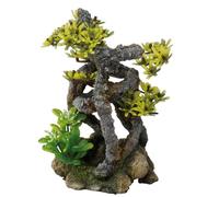 EUROPET-Décor d’aquarium bonsaï tordu vert Europet Aqua Della