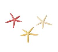 EUROPET-Etoile de mer taille S - diamètre 10 cm
