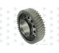 Euroricambi 60532505 Roue dentée, arbre d'entraînement,