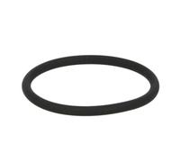 Euroricambi 95532570 Joint spi pour flasque de boîte de vitesse manuelle