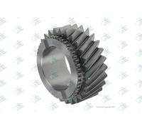 Euroricambi 95534783 Roue dentée, arbre principal