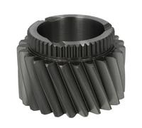 Euroricambi 95535320 Roue dentée, arbre d'entraînement,