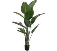 Eurospalms Strelitzia Plante artificielle 170 cm
