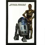 EUROSWAN Miroir rectangulaire sérigraphié Star Wars - En Verre et PVC - 22 x 32 cm