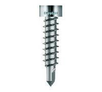 Eurotec Eurotec Vis thermofix avec pointe de forage Acier inoxydable 4,2x22mm Quantité:100