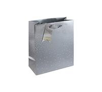 Eurowrap 30864-3Cpack - Un lot de 6 sacs cadeaux Excellia- Format Moyen - 21,5x10,2x25,3cm - 210g - Motif : Étoiles Sur Fond Argenté- Emballage Cadeau, Idéal pour : Livre, Jeu, Petits cadeaux