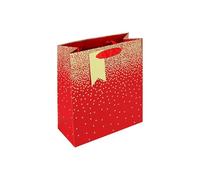 Eurowrap - 34831-3Cpack - Un lot de 6 sacs cadeaux adulte - Formats moyens 21,5x10,2x25,3cm - Etoiles - Qualité supérieure, résistant : 210g - idéal pour : livre, jeux, petits coffrets