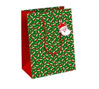 Eurowrap - X-32793-3C - Un sac cadeau Noël - Format moyen 21,5x10,2x25,3cm - Père-Noël - Qualité supérieure, résistant :210g - idéal pour : livre, jeux, petits coffrets