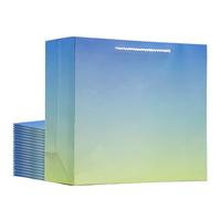 EUSOAR Lot de 20 sacs cadeaux en papier kraft bleu et jaune uni avec poignées, 31,8 x 11,4 x 27,9 cm, grand sac cadeau de remerciement, cadeau pour les petites entreprises, les boutiques, les mariages