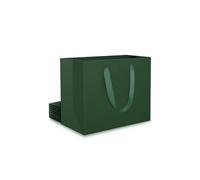 EUSOAR Petit Sac Vert Mariage Papier - Lot de 10 Sac en Papier Kraft pour Noël Anniversaire Homme- Pochette Emballage Cadeau Vert Foncé S 22x18x10cm - 230gsm Sacs Carton avec Poignée - Green Gift Bags