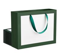 EUSOAR Sacs Cadeau Blanc-Vert Foncé - 20 Pièces Pochettes en Papier avec Anse - M 27x8x21cm Medium 230g/m² Sacs Papier - Sachet Cadeaux Blanc d'Emballage pour Fête, Mariage et Banquet