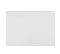 EVA Planche de Montage Rectangulaire pour Spécimens D’insectes, Blanc | Coussin à Épingles Intégré, Surface Réutilisable, pour Étude de Spécimens et Préparation Scientifique