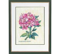 Eva Rosenstand Kit point de croix rhododendron rose compté