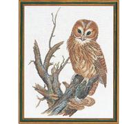 Eva Rosenstand point de croix set "Chouette hulotte", motif à compter, 40x50cm