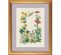 Eva Rosenstand set de broderie au point de croix "Bouton d'or et coquelicot", 28x35cm
