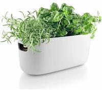 Eva Solo Herb-Organiser - Arroseur automatique - Blanc