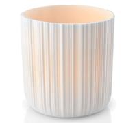 Eva Solo Konewka AquaStar 2,0 l Gris