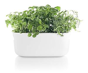 Eva Solo Organisateur d'herbes à arrosage Automatique Blanc