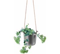 Eva Solo Pot d'herbes aromatiques - auto-arrosage - 15 cm