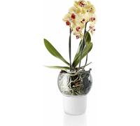 EvaSolo Vase Multicolore Taille Unique