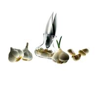 EVA SOLO | Presse-ail avec récipient en verre | Stockage et presse combinés intelligents | Passe au lave-vaisselle | Design et fonctionnalité danois | Outils Gadgets et accessoires de cuisine