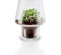 Eva Solo Vase en verre pour succulentes - Ø 15 cm