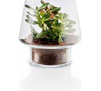 Eva Solo Vase en verre pour succulentes - Ø 21 cm