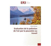 Evaluation De La Pollution De L'air Par La Poussière Au Travail