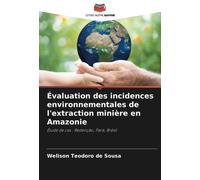 Évaluation Des Incidences Environnementales De L'extraction Minière En Amazonie
