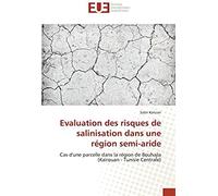 Evaluation Des Risques De Salinisation Dans Une Région Semi-Aride