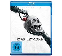 Westworld - Staffel 4 [Blu-ray] (Blu-ray) Wood Evan Rachel Paul Aaron Newton Ed