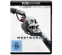 Evan Rachel Wood,Aaron Paul,Thandie Newton - Westworld: Staffel 4 [Blu-Ray] [Import]
