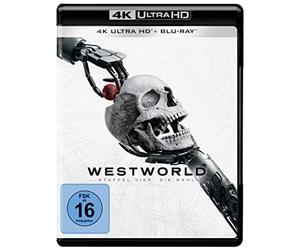 Evan Rachel Wood,Aaron Paul,Thandie Newton - Westworld: Staffel 4 [Blu-ray]