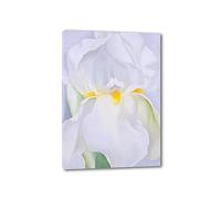 EVANEM Célèbres Tableaux de Georgia O’Keeffe. Iris blanc No 7 impressions sur toile moderne. Célèbre reproduction de peinture à l’huile pour Living Home Decor 70x98cm Toile enveloppée