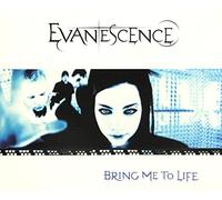Evanescence – Bring Me to Life – Import