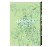 Evangelion Illustration Art Livre Groundwork Q Animation 3.0 #02