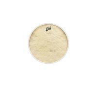 EVANS 13" Calftone - Tom / Peau De Caisse Claire