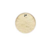 EVANS 14" Calftone - Tom / Peau De Caisse Claire