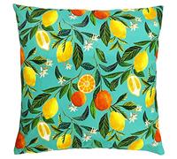 Evans Lichfield Coussin Garni de Fleurs d'oranger en Polyester - Multicolore - 43 x 43 cm