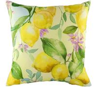 Evans Lichfield Coussin Garni de Plumes Riches en Plumes