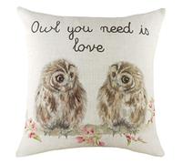 Evans Lichfield Housse de Coussin Motif hiboux répétés 43 x 43 cm