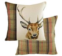 Evans Lichfield Hunter Coussin Garni de Plumes de cerf Multicolore 43 x 43 cm